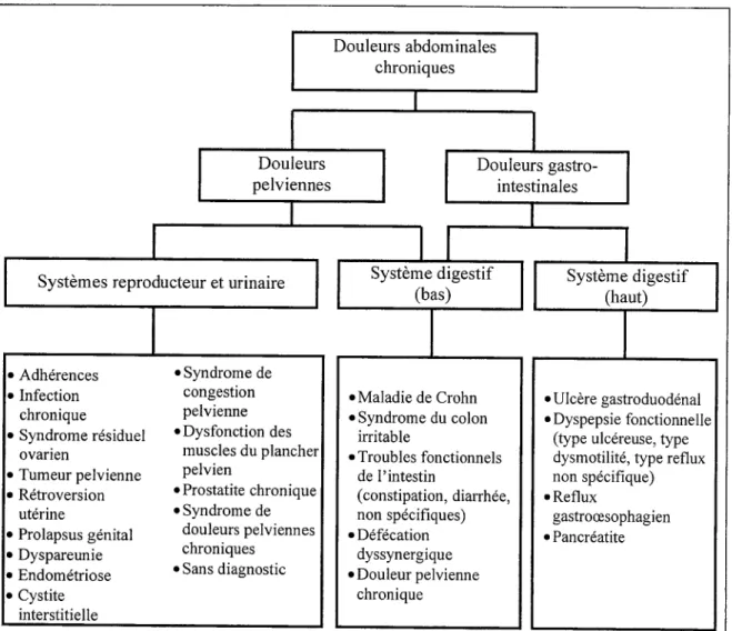 Figure 1. Regroupement des diagnostics selon les catégories de douleurs abdominales