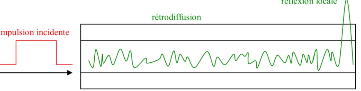Figure 1.8 – Structure de la lumière rétro-réfléchie : diffusion de Rayleigh et pic de réflexion en fin de fibre 