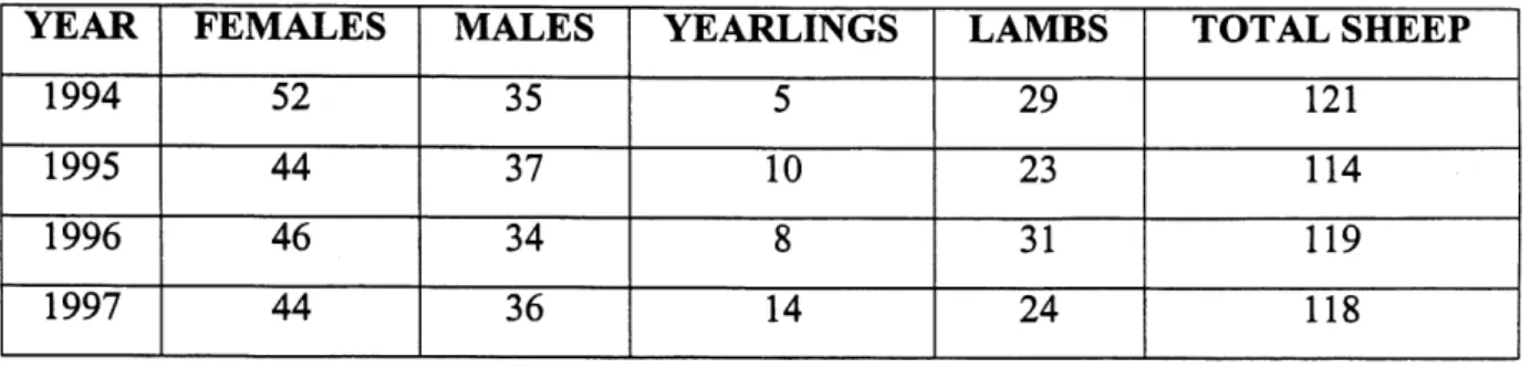 Table 1.1 Number of adult males, adult females, yearlings and lambs of the Sheep River study population ofbighom sheep in October, 1994 to 1997.