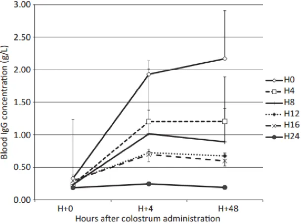 Figure 3 : Concentrations sériques en Ig chez le chiot en fonction de leur âge lors de l’administration  de colostrum (d’après Chastant-Maillard et al., 2012) 