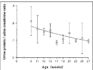 Figure 20 : Evolution de la densité urinaire en fonction de l’âge du chiot (d’après Horster et Valtin,  1971) 