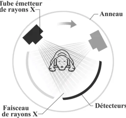 Figure 1 Mouvement source – détecteur autour du patient 