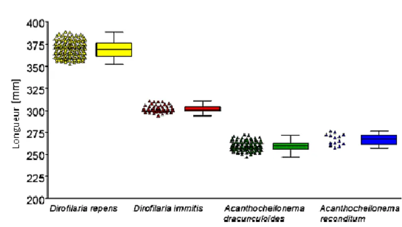 Figure 11 : Taille moyenne des microfilaires évaluée après fixation avec la technique de Knott modifié sur 377 chiens   D’après Magnis et al