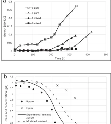 Fig. 2. Experimental values (dotted lines) for growth (2a) and consumption of L -malic acid (2b) by O