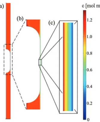Fig. 5. Concentration field over the entire UC domain (a) with zoomed area near the bubble (b), and in the liquid film (c)