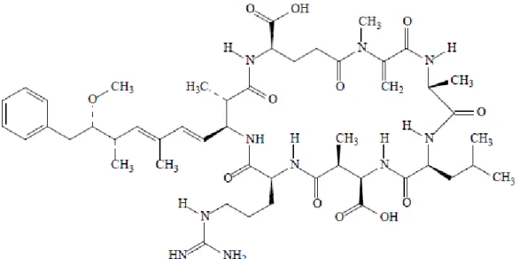 Figure 2.1 Structure chimique de la microcystine-LR 