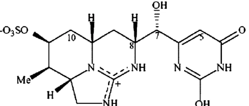 Figure 2.3 Structure chimique de la cylindrospermopsine   Tirée de Funari and Testai, 2008, p.103 