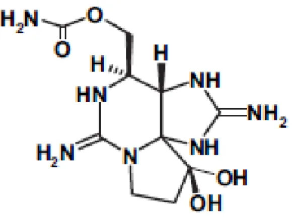 Figure 2.5 Structure chimique de la saxitoxine  Tirée de Aráoz et al., 2010, p.815 