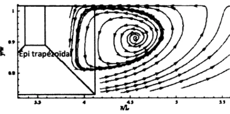 Figure 8 : Zone de redrculation en aval d’un épi [Kuhnle et al.  2008]
