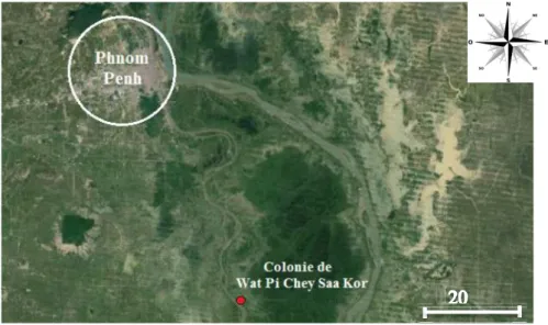 Figure 10 : Localisation de la colonie de Pteropus lylei (source : Google Earth) 