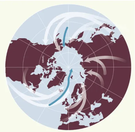 Figure 4 : Sources globales de mercure dans l'Arctique par les courants océaniques  (bleu) et les transports atmosphériques (blanc)