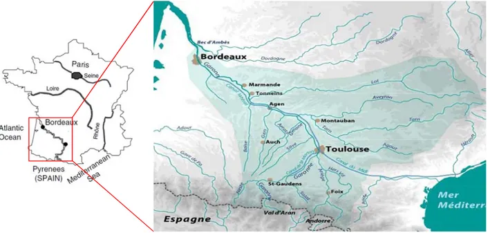 Figure II.1 : Situation géographique du bassin versant de la Garonne, principaux affluents et agglomérations 