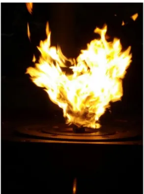 Figure 5.4 : Flame with the spill-return line in the radial direction. 