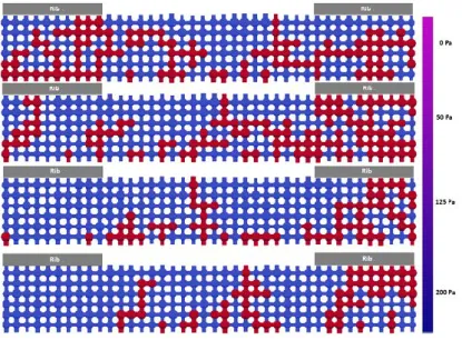 Figure 7: Liquid water (in red) invasion patterns for various transverse gas pressure  differences in 2D network