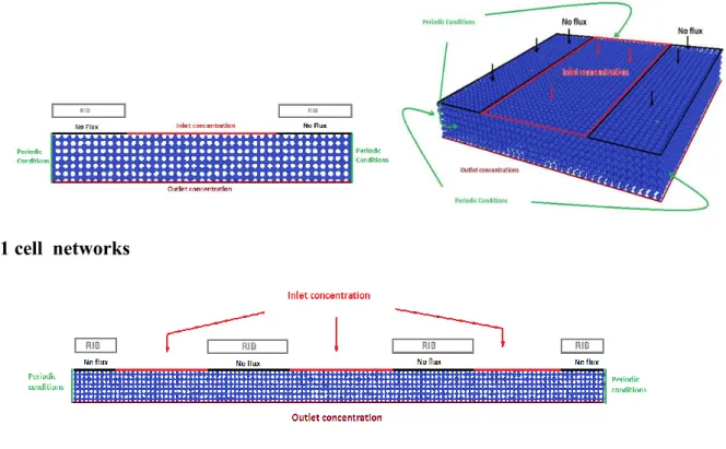 Figure 12: Boundary conditions for the computation of the diffusive transport in gas phase