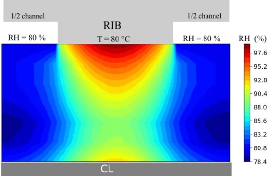 Figure 9 : Local relative humidity in a through-plane slice in GDL for i = 0.8 A/cm² 