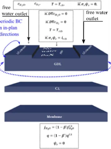 Figure 11: Transfers inside the GDL and boundary conditions in the case of one-phase  situation 