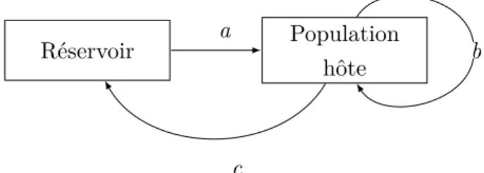 Figure 1.5 – Schéma résumant les différents chemins de transmission d’une infection. Celle-ci est initiée par un réservoir infectieux extérieur à la population hôte par le chemin a