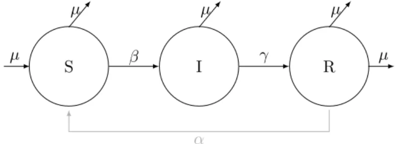 Figure 1.6 – Modèle SIR (Sensible-Infecté-Rétabli). β est le coefficient de transmission
