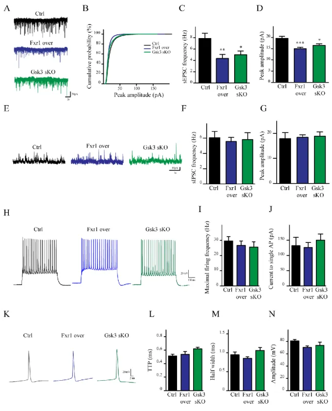 Figure 3. Prefrontal CRISPR/Cas9 mediated Gsk3b sKO or Fxr1 overexpression  modulate the spontaneous neuronal activity 