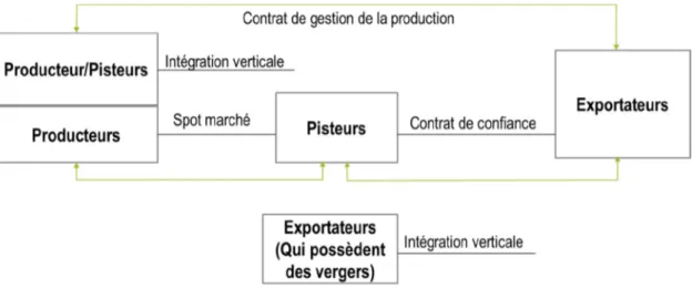 Figure 2 : Modes de coordination verticale présents dans la filière d'exportation de la mangue fraîche du Mali 