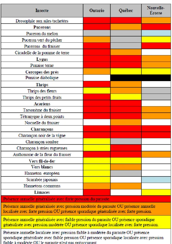 Tableau 2 : Présence des insectes nuisibles dans les cultures de fraises au Canada. Tiré  d’Agriculture et Agroalimentaire Canada (2015)