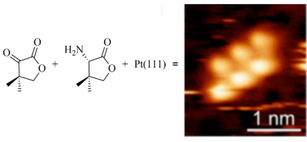 Figure 16 : Images STM d’assemblages supramoléculaires par la co-adsorption du AF et du  KPL sur le Pt(111) à 300 K