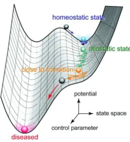 Fig. 1. A current schematic view on the onset of (transition to) dynamical disease and multiscale fluctuations in state space.