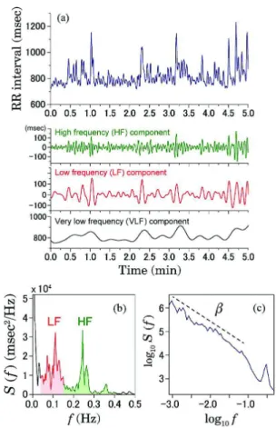 Fig. 3. Frequency domain HRV analysis. (a) Time series of R-R intervals in a 31-yr-old male subject (top) and its frequency band components (3 bottom rows)