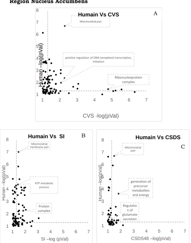 Figure  10 :  (A-C)  Comparaison  des  fonctions  communes  à  l’humain  et  aux  modèles  animaux pour différents niveau de significativité