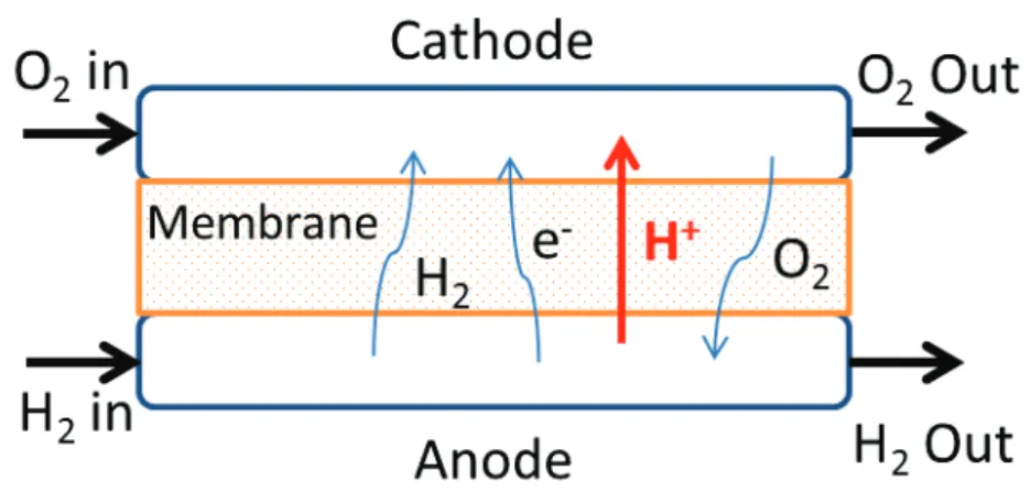 Figure I. 3 : Schéma illustrant les phénomènes de crossover dans une PAC 