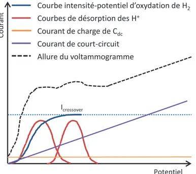 Figure I. 13 : Voltammétrie cyclique (4mV/s) d’une cellule d’un stack PEM de 50 cellules 130 cm² 