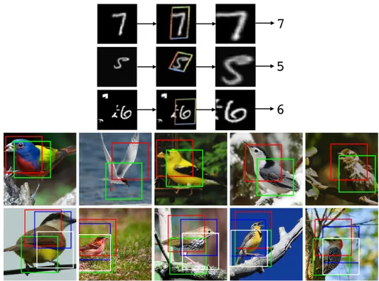 Figure 1.3 – The STN applied to two classification tasks. (Top) On the distorted MNIST dataset, the STN properly focuses on the digit, facilitating the recognition by the classification network