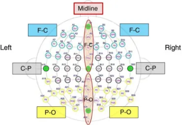 Fig. 2. Electrode groups for statistical analyses. The 64 electrodes are ﬁrst divided in two groups: midlines and laterals
