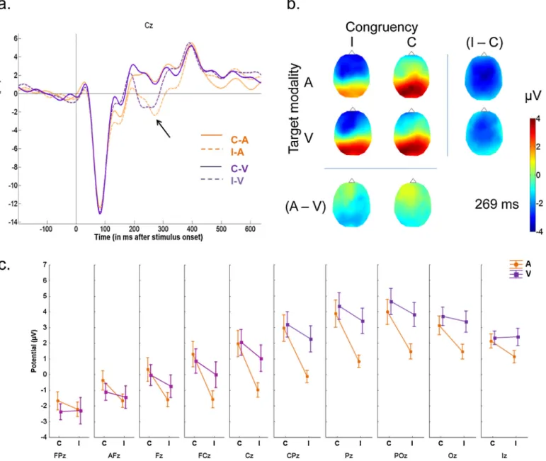 Fig. 4. EEG group results (n = 16) according to the target modality and the congruency
