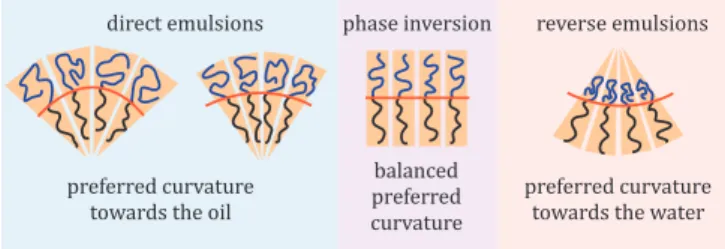 Fig. 1. The preferred curvature of the surfactant layer can be turned towards the oil, yielding direct self-assembly structures and emulsions, or turned towards the water, yielding reverse self-assembly structures and emulsions
