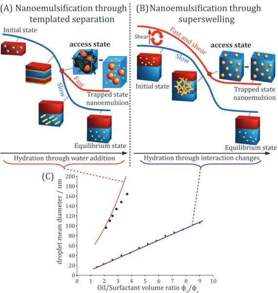 Fig. 4. Summary of the two mechanisms of nanoemulsification through the disruption of bicontinuous structures