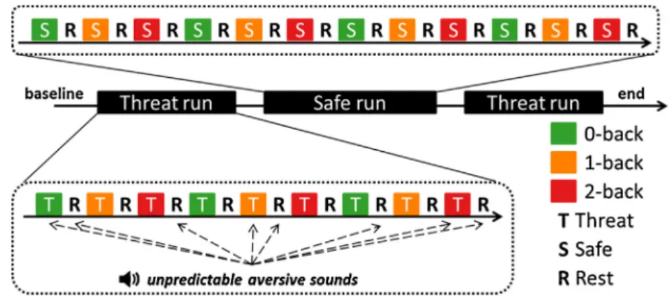 Fig. 2. Experimental timeline. TNT experimental block design sessions with two runs for threat condition and one run for the safe condition