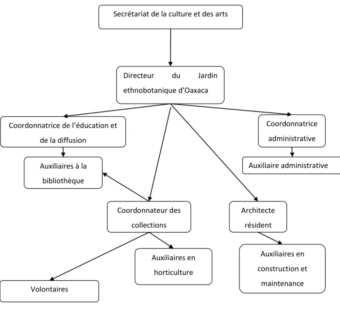 Figure 1.1 Structure organisationnelle du Jardin ethnobotanique d’Oaxaca 