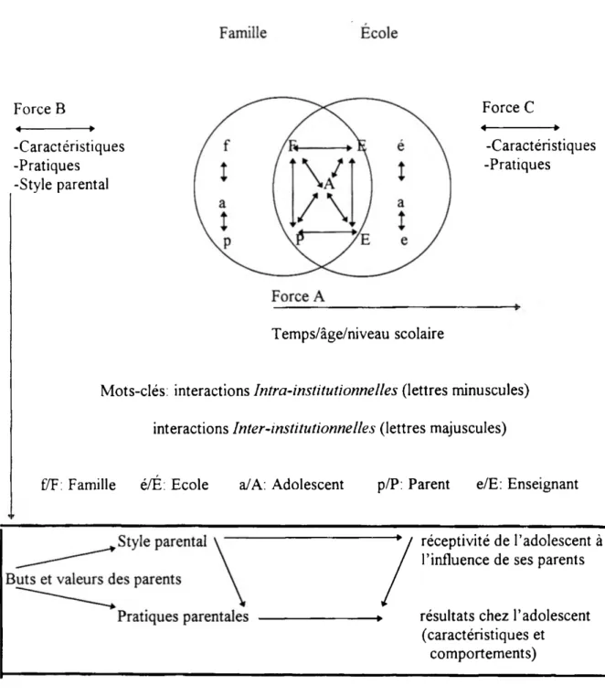 Figure 6. Modèle révisé de l’influence partagée