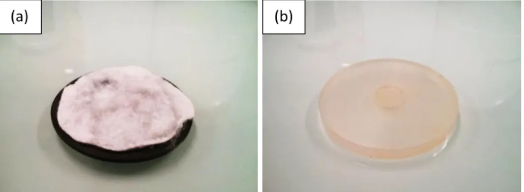 Figure 2.13 : Supports utilisés au cours de l’opération de séchage. (a) support en PVC, et (b)  support en PMMA