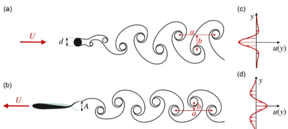 Fig. 1. Illustration of von Karman (a) and reversed von Karman (b) vortex street (reproduced from Eloy, 2012).