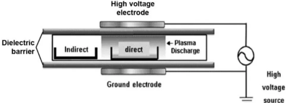 Figure 1.3 Atmospheric direct and indirect cold plasma process (adapted from Almeida et al