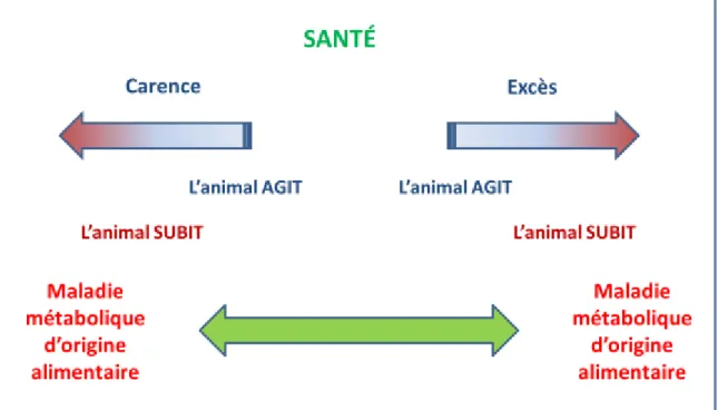 Figure 3:Etablissement du processus physiopathologique lors de déséquilibre alimentaire d’après [19]