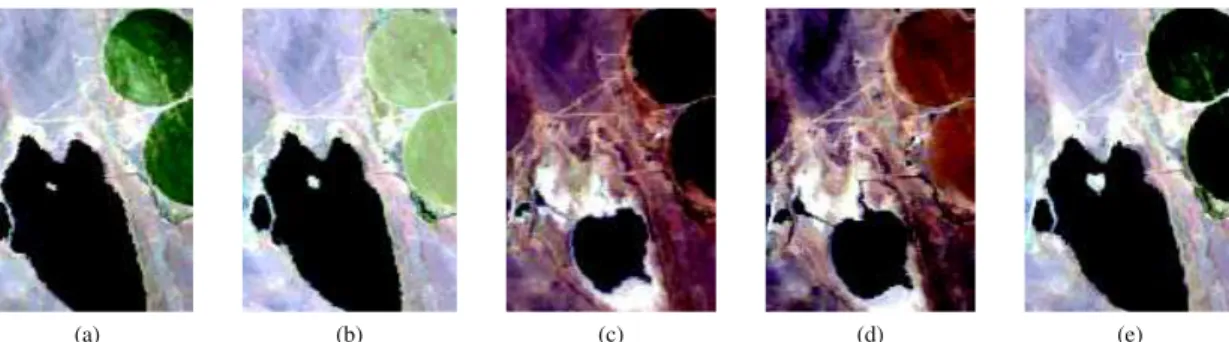 Fig. 7. Scenes used in the experiment, given with their respective acquisition date. (a) 04/10/2014 (b) 06/02/2014 (c) 09/19/2014 (d) 11/17/2014 (e) 04/29/2015.