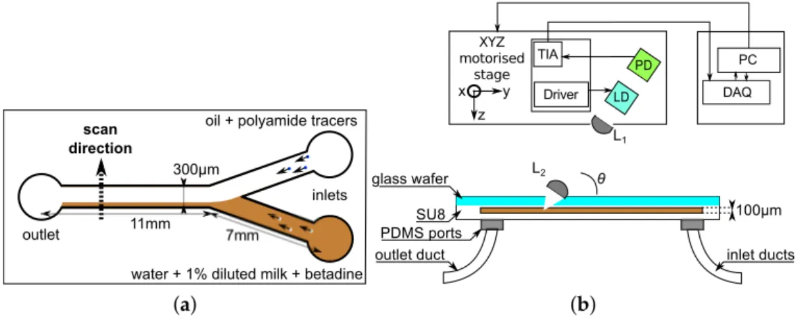 Figure 1. Experimental setup description. (a) Physical description of the Y-shaped microreactor (top view)