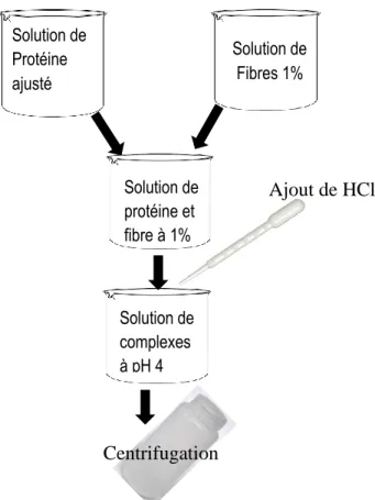 Figure 4: Schéma de formation des complexes P-Ps 