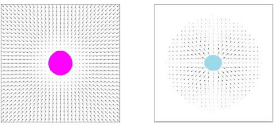 Figure 1.8  Les champs de potentiel [Choset et al., 2005].