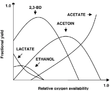 Figure 2.4   The effect of relative oxygen availability on fractional product yields in  B