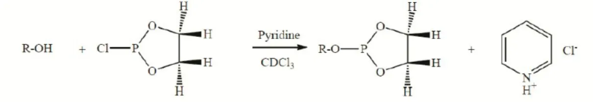 Fig. 1. Derivatization of hydroxyl groups 